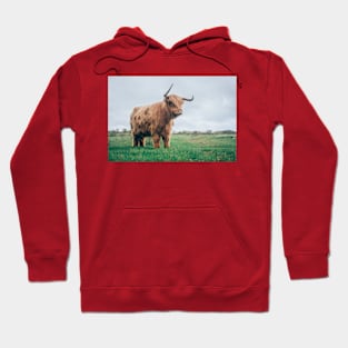 Wild life design Hoodie